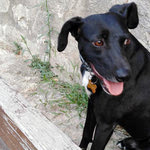 Δείτε όλα τα άρθρα από το χρήστη Συνεργάτες Εφημερίδας