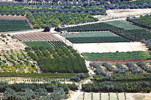 κτηματογράφηση