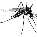 Δείτε όλα τα άρθρα από το χρήστη Εποχούμενος Περιπατητής