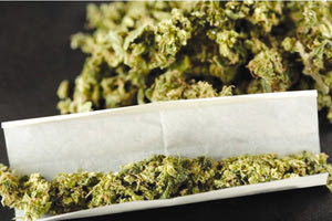 SKUNK ΚΑΙ ΠΑΡΑΔΟΣΙΑΚΗ ΚΑΝΝΑΒΗ