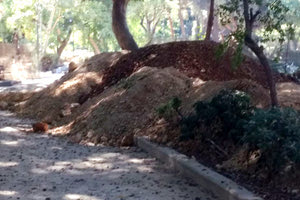 ΧΘΕΣ … ΣΗΜΕΡΑ … ΑΥΡΙΟ