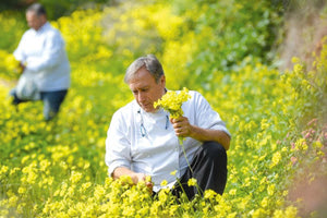 Με το συντονισμό του μάγειρα Γιάννη Βαξεβάνη “Μαγειρέματα του δρόμου” στον Άγιο Νικόλαο