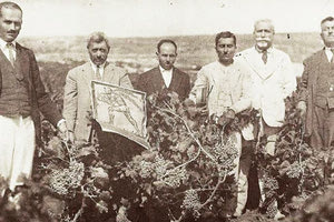 ΦΩΤΟ ΗΜΕΡΑΣ: Στους σητειακούς αμπελώνες