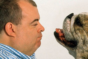 Οι παχύσαρκοι σκύλοι έχουν και παχύσαρκα αφεντικά