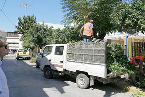 Κλαδέματα στο Γάζι