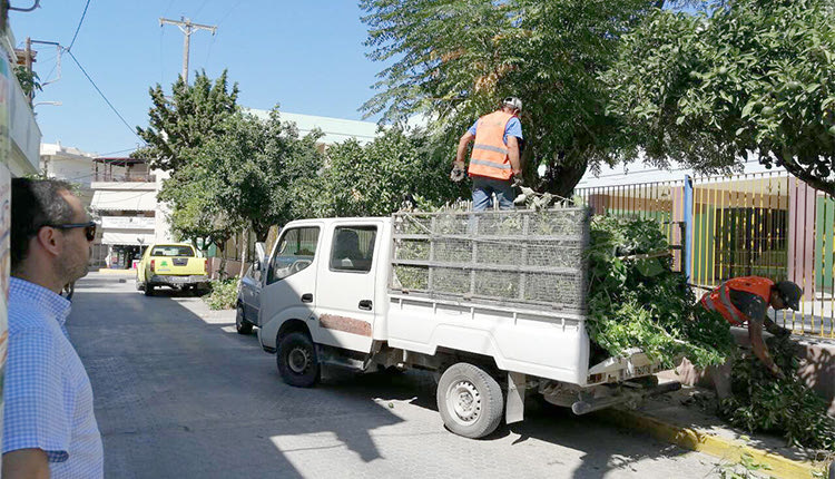 Κλαδέματα στο Γάζι