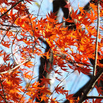 Δείτε όλα τα άρθρα από το χρήστη Ελένη Μανιωράκη