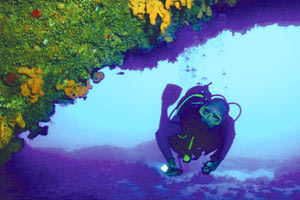 καταδυτικό πάρκο