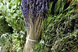 Φαρμακευτικά φυτά