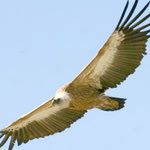 Δείτε όλα τα άρθρα από το χρήστη Βαγγέλης Μπαριτάκης