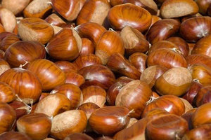 γιορτή του κάστανο