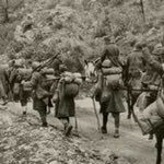 Δείτε όλα τα άρθρα από το χρήστη Βασίλης Θεοτοκάτος