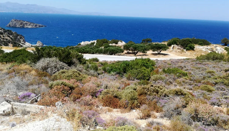 γέφυρα Φρουζή