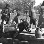 Δείτε όλα τα άρθρα από το χρήστη Άννα Μανουκάκη-Μεταξάκη