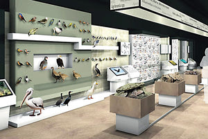 Η αναβάθμιση του Μουσείου Φυσικής Ιστορίας