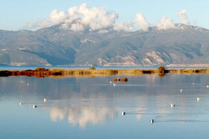 περιοχές NATURA