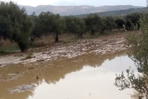 καταστροφές που προκλήθηκαν και στην περιοχή του δήμου Μινώα Πεδιάδος από τις βροχές