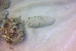 Μια βόμβα του Β’ Παγκοσμίου Πολέμου βρέθηκε θαμμένη στο βυθό της θάλασσας στην περιοχή του Αρίνα