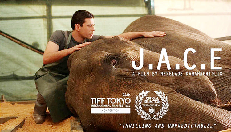 Η ταινία Jace (Just Another Confused Elephant) στις “Ημέρες Μεσογειακού Κινηματογράφου”