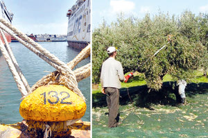 Οι επίδοξοι αλλοδαποί  εργάτες για το λιομάζωμα  στο λιμάνι