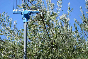 Μεγάλο το πρόβλημα αυτή την περίοδο, λένε αστυνομικοί