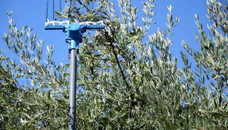 Μεγάλο το πρόβλημα αυτή την περίοδο, λένε αστυνομικοί