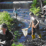 Δείτε όλα τα άρθρα από το χρήστη Νίκος Φλεμετάκης