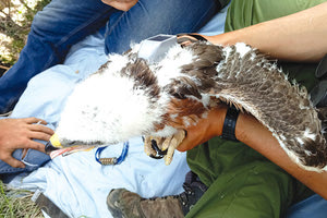 Η ΔΙΑΣΩΣΗ ΤΟΥ ΣΠΙΖΑΕΤΟΥ