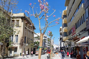 Στη Δικαιοσύνης μετά την ανάπλαση