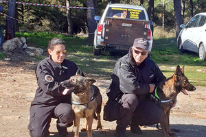 ΔΗΛΗΤΗΡΙΑΣΜΕΝΑ ΔΟΛΩΜΑΤΑ: Η Πάκα και η Τσίκα τα μυρίζουν από μακριά