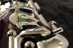 Ρεσιτάλ φαγκότο