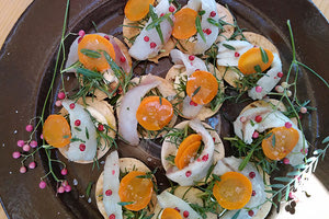 ΣΥΝΤΑΓΕΣ ΞΕΝΙΚΩΝ ΕΙΔΩΝ: “Φα’ το πριν τα φάει!”