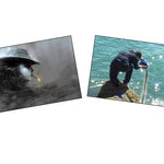 Δείτε όλα τα άρθρα από το χρήστη Εποχούμενος Περιπατητής