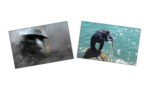 Έγινε ο Έρωτας καπνός