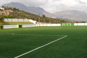 ΓΗΠΕΔΟ ΤΟΠΙΚΟΥ ΑΣΙΤΕΣ