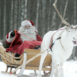 Δείτε όλα τα άρθρα από το χρήστη Εποχούμενος Περιπατητής