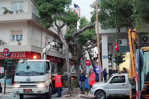 επιχείρηση στήθηκε χθες στην καρδιά του Μασταμπά όπου έγιναν δύο κοπές δέντρων που έπεσαν μετά από τις έντονες ριπές του αέρα που σάρωναν την πόλη