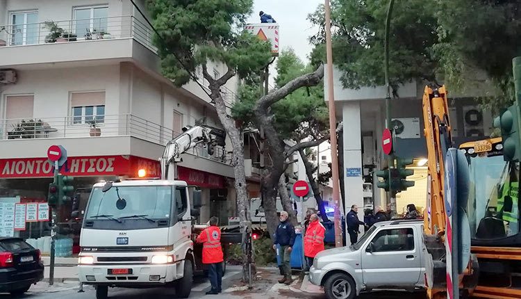 επιχείρηση στήθηκε χθες στην καρδιά του Μασταμπά όπου έγιναν δύο κοπές δέντρων που έπεσαν μετά από τις έντονες ριπές του αέρα που σάρωναν την πόλη