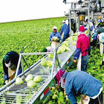 Δείτε όλα τα άρθρα από το χρήστη Παναγιώτα Βράντζα