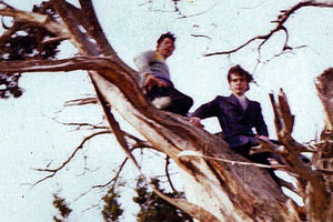 Κερασανό ή Ξερό Κυπαρίσσι