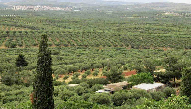 έναρξη των εργασιών του νέου διεθνούς αεροδρομίου Καστελλίου