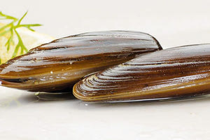 πετροσωλήνας