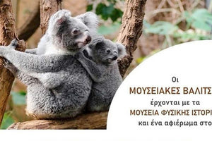 Οι Μουσειακές Βαλίτσες παρουσιάζουν τα είδη ζώων της Αυστραλίας
