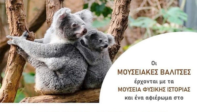 Οι Μουσειακές Βαλίτσες παρουσιάζουν τα είδη ζώων της Αυστραλίας