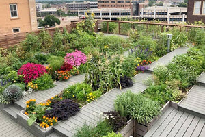 περισσότερο «πράσινο»