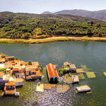 Δείτε όλα τα άρθρα από το χρήστη Κωστής Λουλάκης