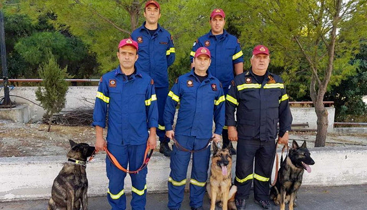 Η 3η ΕΜΑΚ Κρήτης διαθέτει τρεις ειδικά εκπαιδευμένους σκύλους, ταγμένους στον εντοπισμό αγνοουμένων και στη διάσωση συνανθρώπων μας