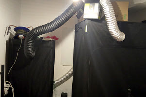 Υδροπονική καλλιέργεια στην… κρεβατοκάμαρα