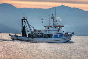 Απαιτείται δήλωση αλιευτικής παραγωγής