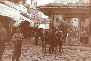 Η φωτογραφία της ημέρας